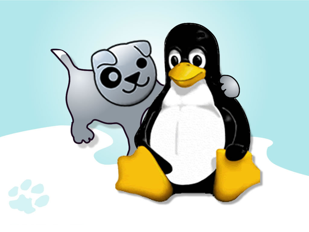 Minimal linux