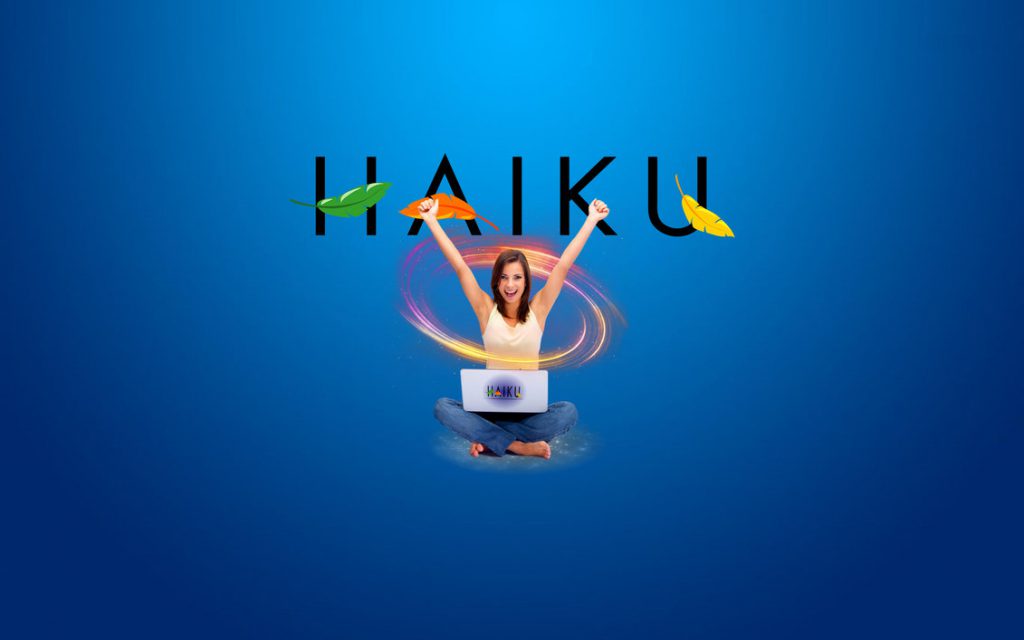 HaikuOS fejlődés – új csomagok és repók