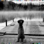Xenialpup64 7.0.8.5 dvd – készült vegyes érzelmekkel…