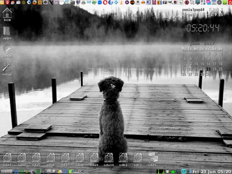 Xenialpup64 7.0.8.5 dvd – készült vegyes érzelmekkel…