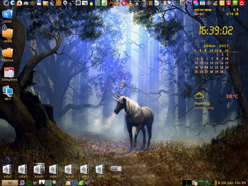 Unicorn6 Puppy(noPae) v.2 Angol/Magyar, 2017, Jún
