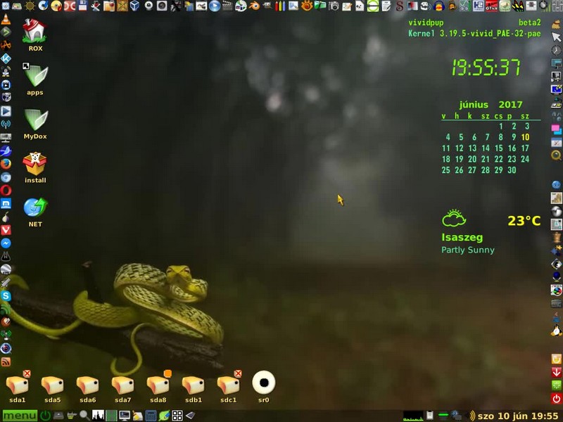 VIVID Beta2 „Brutal Puppy” Rev2 EngHun 2017June